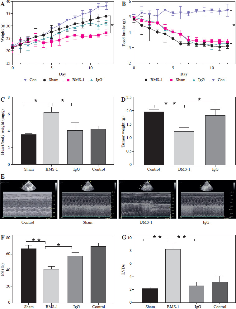 PD-1/PD-L1 inhibitor treatment associated with cardiotoxicity regulated by macrophage polarization and SOCS3/JAK/STAT3 signaling pathway.
