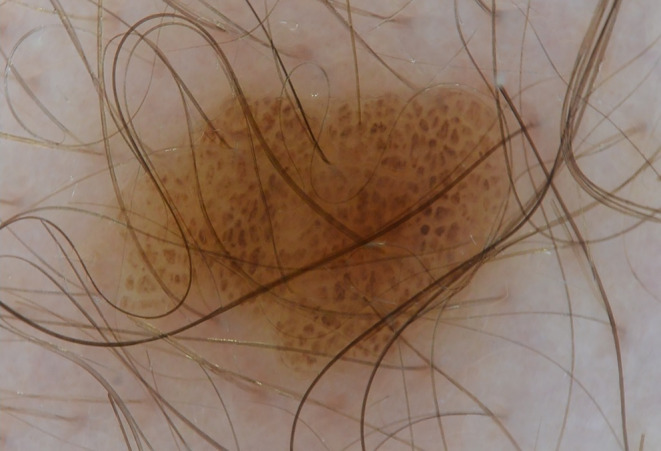 Abstract Image