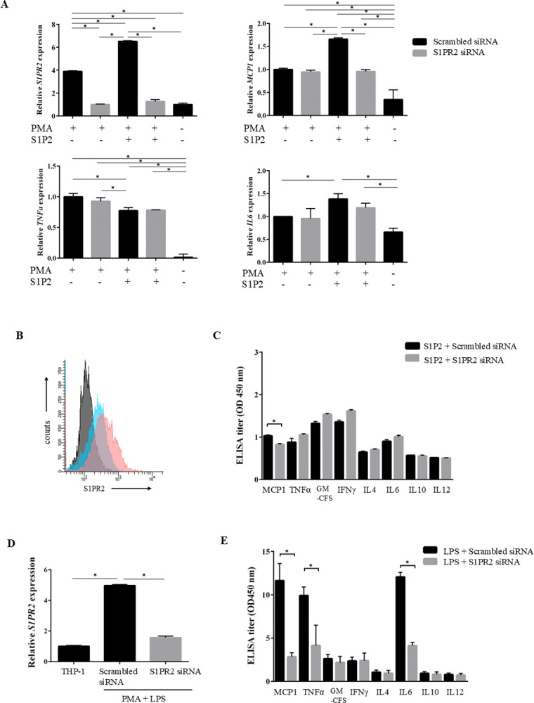 Activation of S1PR2 on macrophages and the hepatocyte S1PR2/RhoA/ROCK1/MLC2 pathway in vanishing bile duct syndrome.