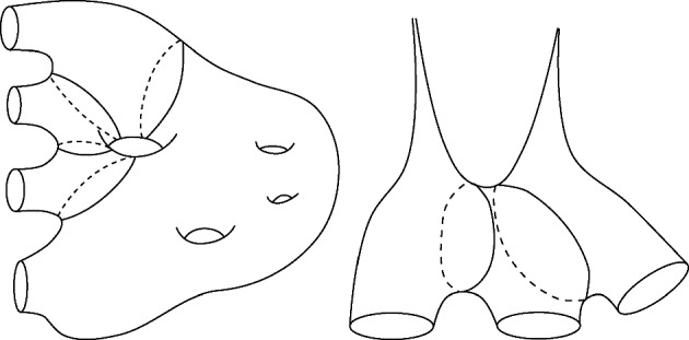 Geometric Bounds for Low Steklov Eigenvalues of Finite Volume Hyperbolic Surfaces.