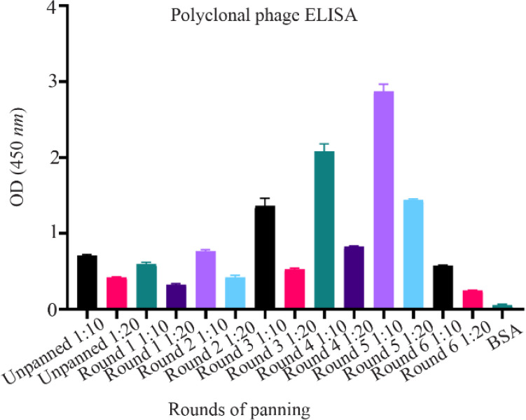 Isolation and Preliminary Characterization of a Novel scFv against <i>SARS-CoV-2</i> : an Experimental and Computational Analysis.