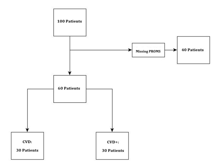 Patient Reported Outcomes of Total Knee Arthroplasty with Ultra-congruent Lipped Polyethylene Liners: A Randomized Study.
