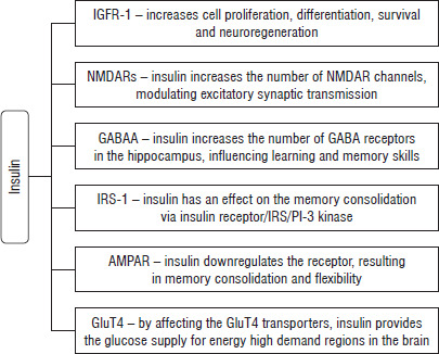 The effect of insulin on the central nervous system: insights into neurological complications and management of type 1 diabetes in the pediatric population.