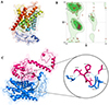 Apoptotic proteins in Leishmania donovani: in silico screening, modeling, and validation by knock-out and gene expression analysis.