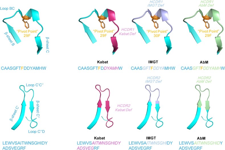 Antibody numbering schemes: advances, comparisons and tools for antibody engineering.
