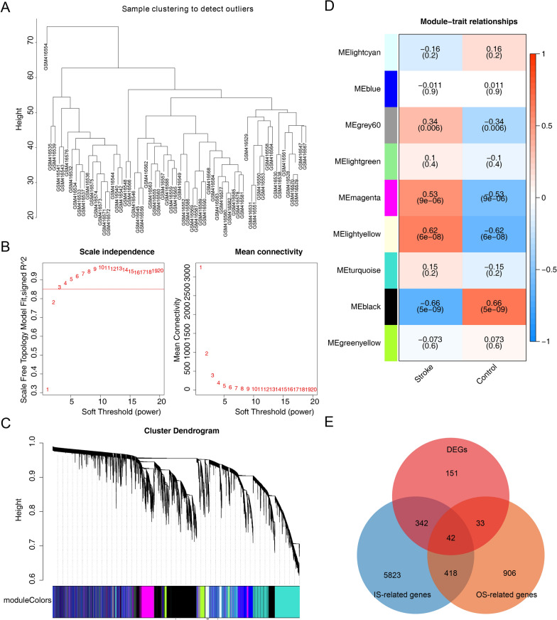 Identification of key genes associated with oxidative stress in ischemic stroke via bioinformatics integrated analysis.