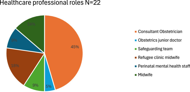 Effects of UK hostile environment policies on maternity care for refugees, asylum seekers, and undocumented migrants in Camden: Examining the experiences of healthcare professionals and community organisations