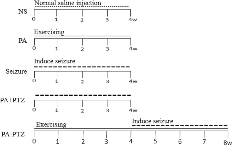 The Effect of Physical Activity on the Orexin and Brain-derived Neurotrophic Factor Expression on the Kindling Model of Epileptic Rats.