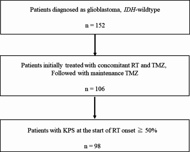 Factors involved in maintaining Karnofsky Performance Status (≥ 50%) in glioblastoma, IDH-wildtype patients treated with temozolomide and radiotherapy.