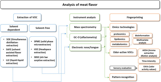Effective Strategies for Understanding Meat Flavor: A Review.