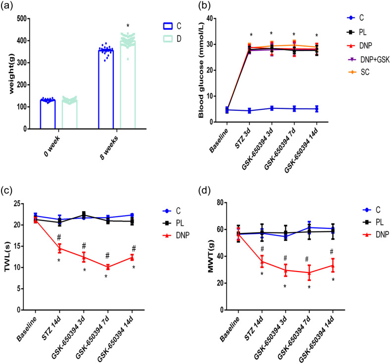SGK1-HDAC4-HMGB1 signaling pathway in the spinal cord dorsal horn participates in diabetic neuropathic pain.