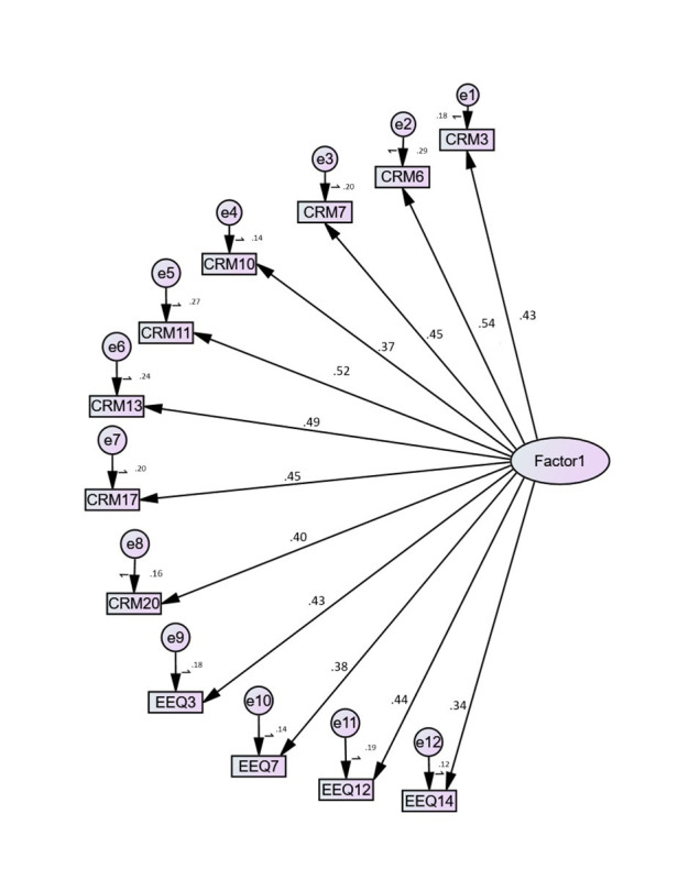 Development and Psychometric Validation of the Cyber-Self Scale (CSS) in Saudi Arabia.