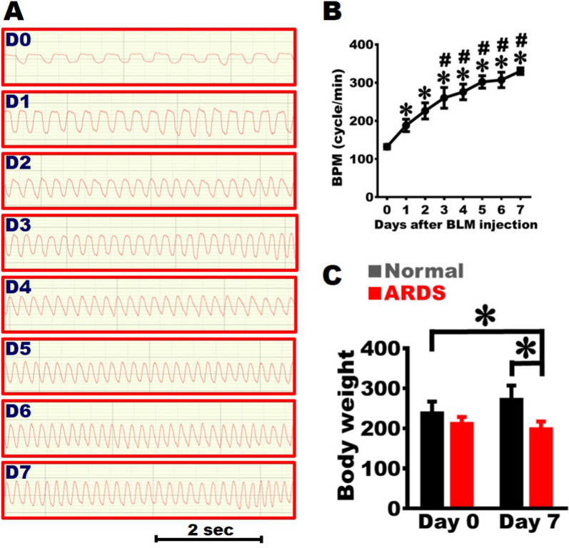 An animal model of severe acute respiratory distress syndrome for translational research.
