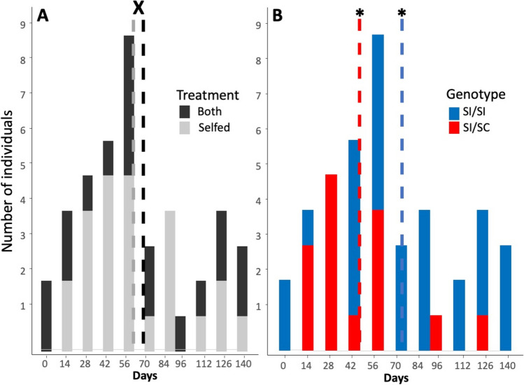 Decay of self-incompatibility within a lifespan in Physalis acutifolia (Solanaceae).