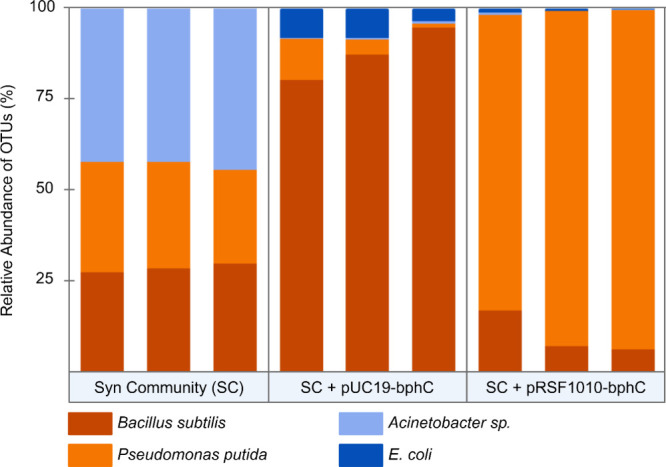 Plasmid Backbone Impacts Conjugation Rate, Transconjugant Fitness, and Community Assembly of Genetically Bioaugmented Soil Microbes for PAH Bioremediation.