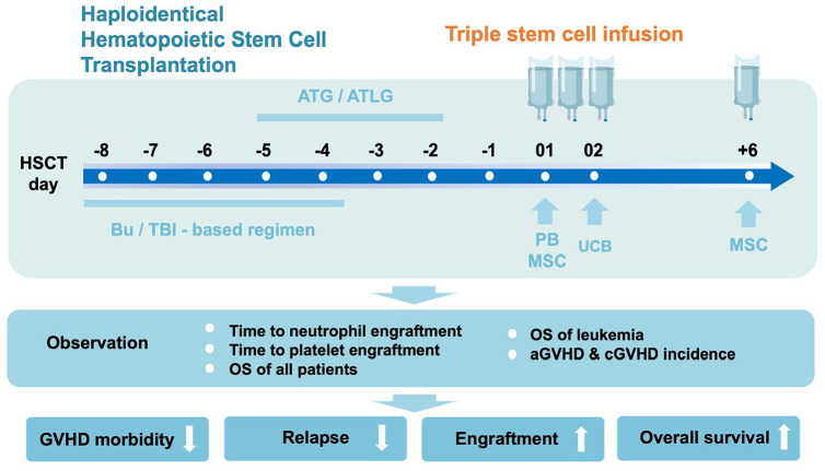 Triple stem cell infusion alleviated graft-versus-host disease and improves outcomes in unmanipulated haploidentical hematopoietic stem cell transplantation.