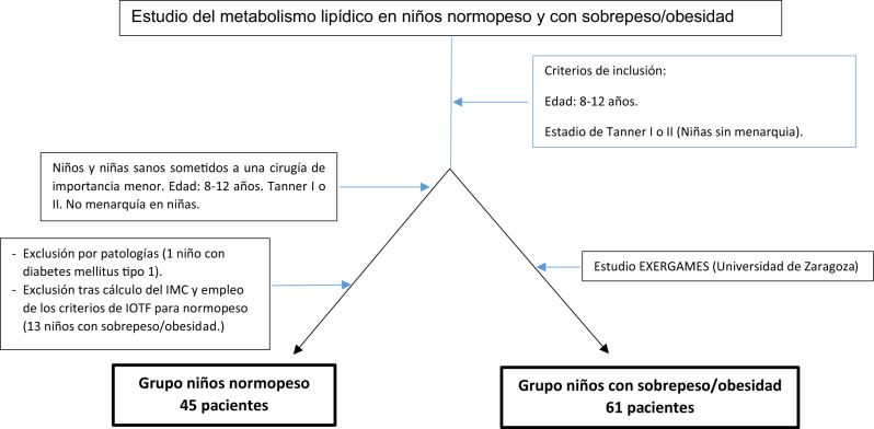 Estudio del metabolismo lipídico en niños aragoneses con sobrepeso/obesidad vs. niños normopeso.