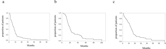 Factors involved in maintaining Karnofsky Performance Status (≥ 50%) in glioblastoma, IDH-wildtype patients treated with temozolomide and radiotherapy.