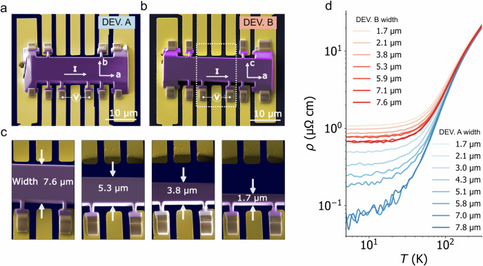 Orientation dependent resistivity scaling in mesoscopic NbP crystals.