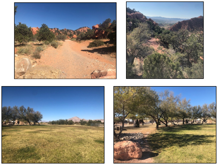 The Psychometric Performance of State Mindfulness Scales Around Sitting and Walking on Desert Trails: A Pilot Study.