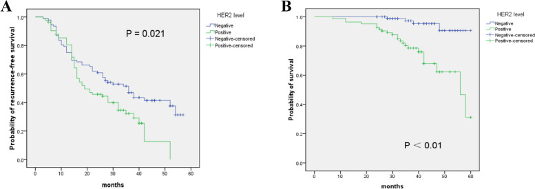 Impact of HER2 Expression on the Prognosis of Muscle-Invasive Bladder Cancer Patients Treated with Bladder-Preservation Comprehensive Therapy.