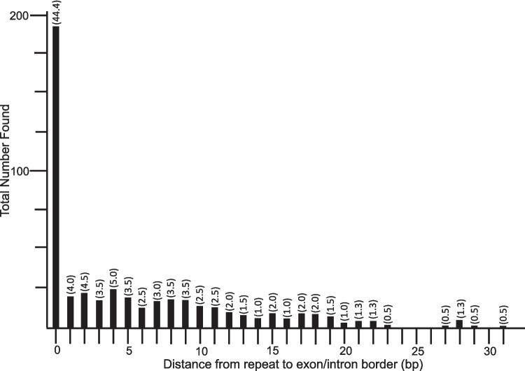 Direct repeats found in the vicinity of intron splice sites