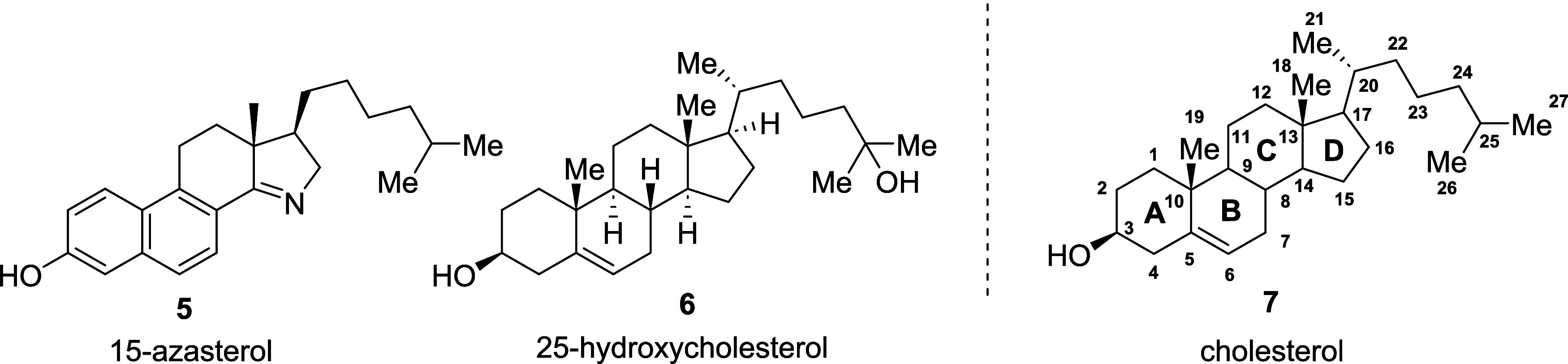 Synthesis of a Hydroxy-15-Azasterol.