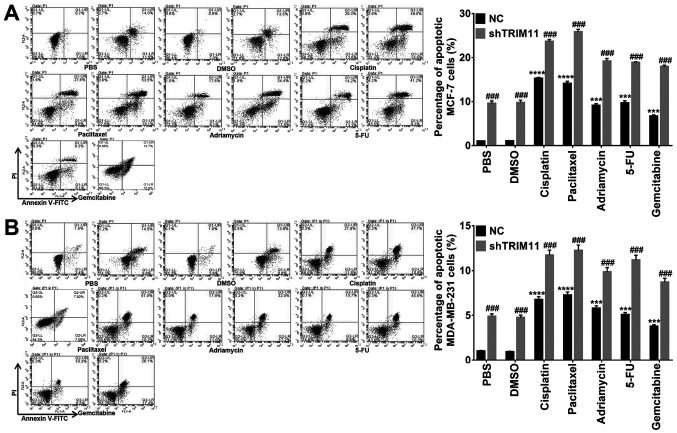 [Corrigendum] Tripartite motif‑containing 11 regulates the proliferation and apoptosis of breast cancer cells.