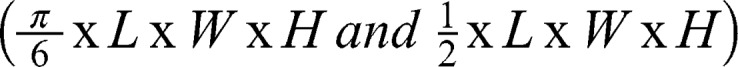 Abstract Image
