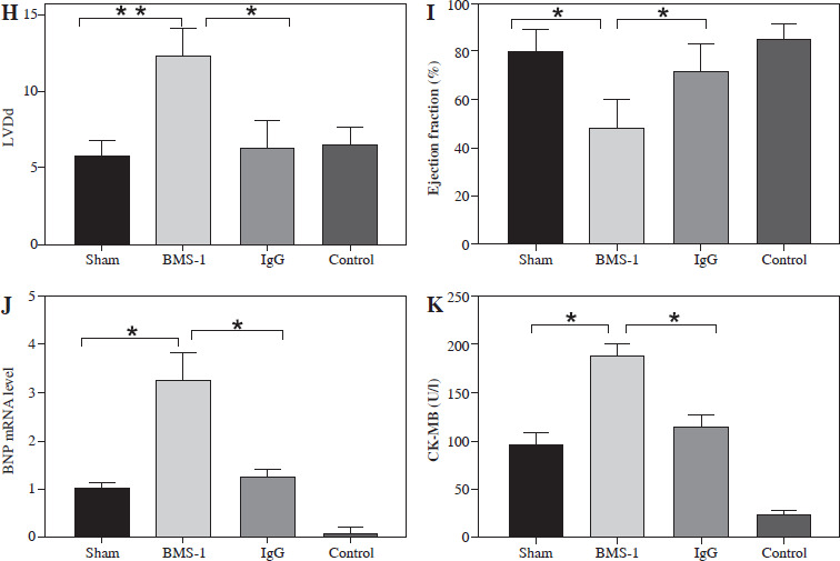 PD-1/PD-L1 inhibitor treatment associated with cardiotoxicity regulated by macrophage polarization and SOCS3/JAK/STAT3 signaling pathway.