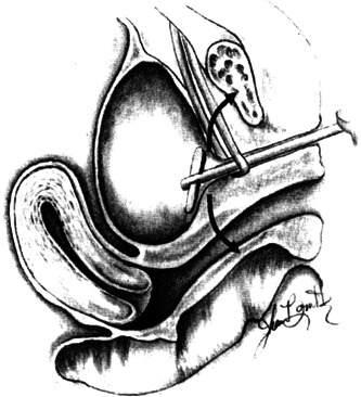 Abstract Image