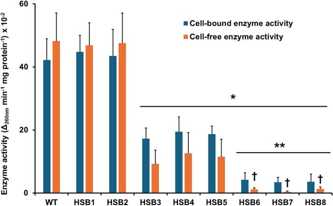 Sporothrix brasiliensis Gp70 is a cell wall protein required for adhesion, proper interaction with innate immune cells, and virulence