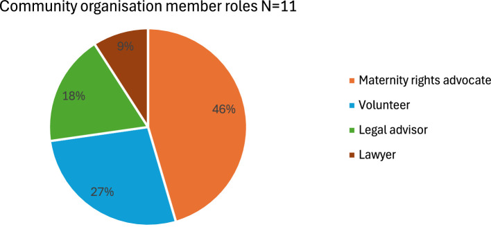 Effects of UK hostile environment policies on maternity care for refugees, asylum seekers, and undocumented migrants in Camden: Examining the experiences of healthcare professionals and community organisations