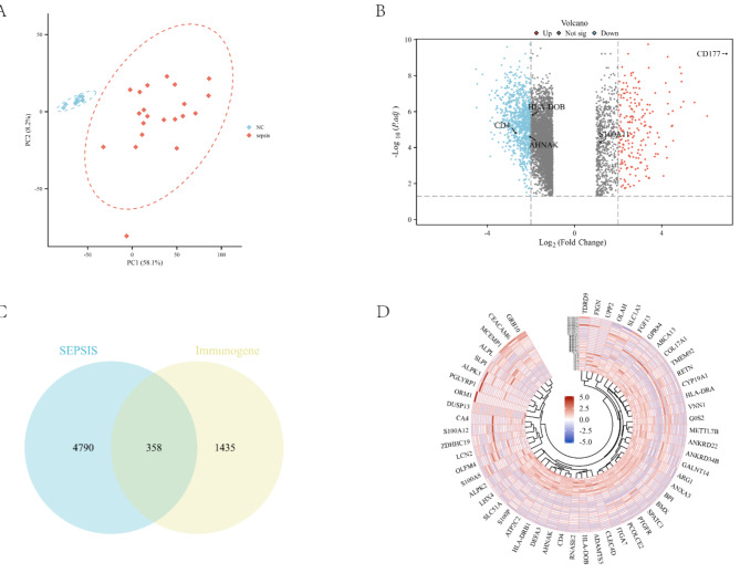 Combining machine learning and single-cell sequencing to identify key immune genes in sepsis.