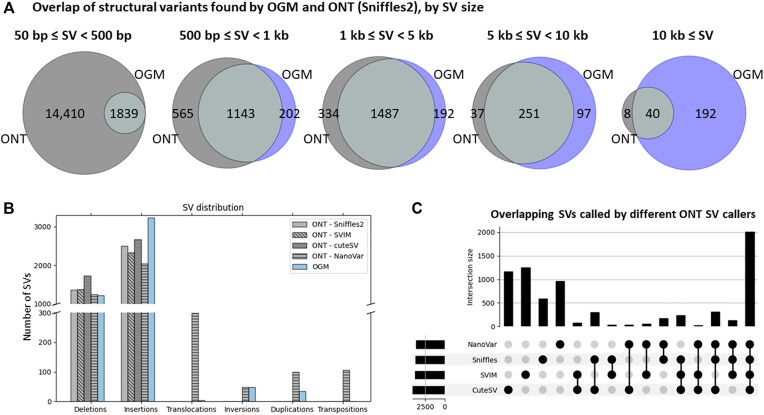 Long-read structural and epigenetic profiling of a kidney tumor-matched sample with nanopore sequencing and optical genome mapping.