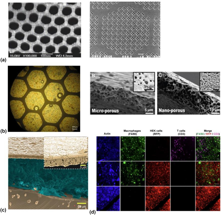 Materials approaches for next-generation encapsulated cell therapies.