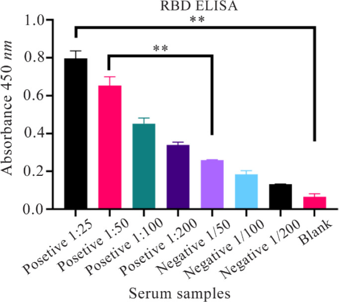 Isolation and Preliminary Characterization of a Novel scFv against <i>SARS-CoV-2</i> : an Experimental and Computational Analysis.