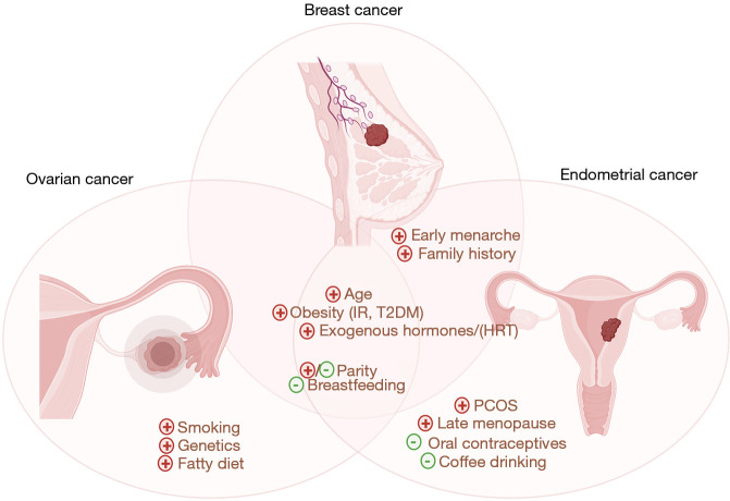 Breast cancer shares many epidemiological, lifestyle, and local hormonal and metabolic underpinnings with endometrial and ovarian cancer: a narrative review.