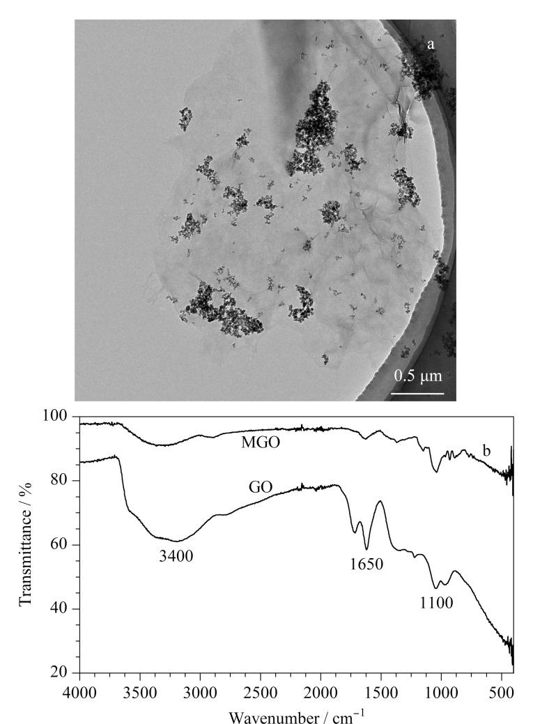 [Construction of a 17<i>β</i>-estradiol sensor based on a magnetic graphene oxide/aptamer separating material].