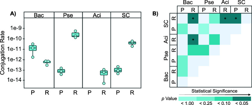 Plasmid Backbone Impacts Conjugation Rate, Transconjugant Fitness, and Community Assembly of Genetically Bioaugmented Soil Microbes for PAH Bioremediation.