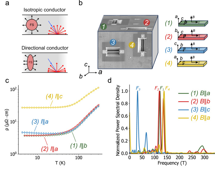 Orientation dependent resistivity scaling in mesoscopic NbP crystals.