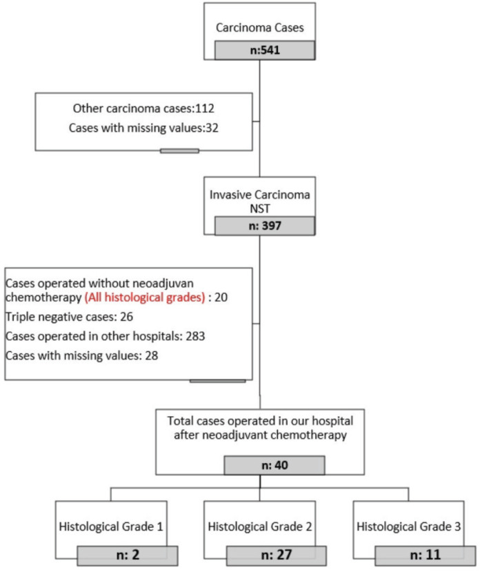Carbonic Anhydrase IX Enzyme in Triple Negative Breast Carcinoma: Relationship With Prognostic Factors and Response to Neoadjuvant Chemotherapy.