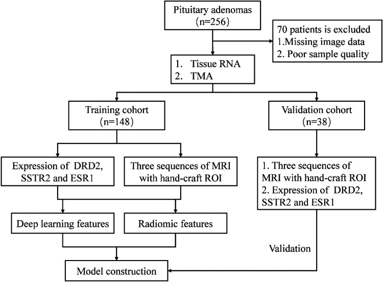 Multimodal Model for Non-Invasive Detection of DRD2, SSTR2 and ESR1 Receptor Profiling in Pituitary Neuroendocrine Tumors: A Retrospective Study.