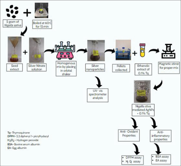 Green synthesis of silver nanoparticles using <i>Nigella sativa</i> with 0.1% of thymoquinone and evaluation of its anti-inflammatory and antioxidant activities - An <i>in vitro</i> study.
