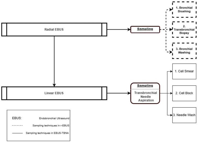 Optimizing diagnostic yield in pulmonary lesions: impact of combined sampling tools and EBUS-TBNA during radial EBUS.