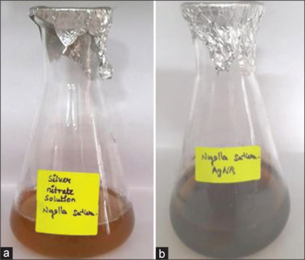 Green synthesis of silver nanoparticles using <i>Nigella sativa</i> with 0.1% of thymoquinone and evaluation of its anti-inflammatory and antioxidant activities - An <i>in vitro</i> study.