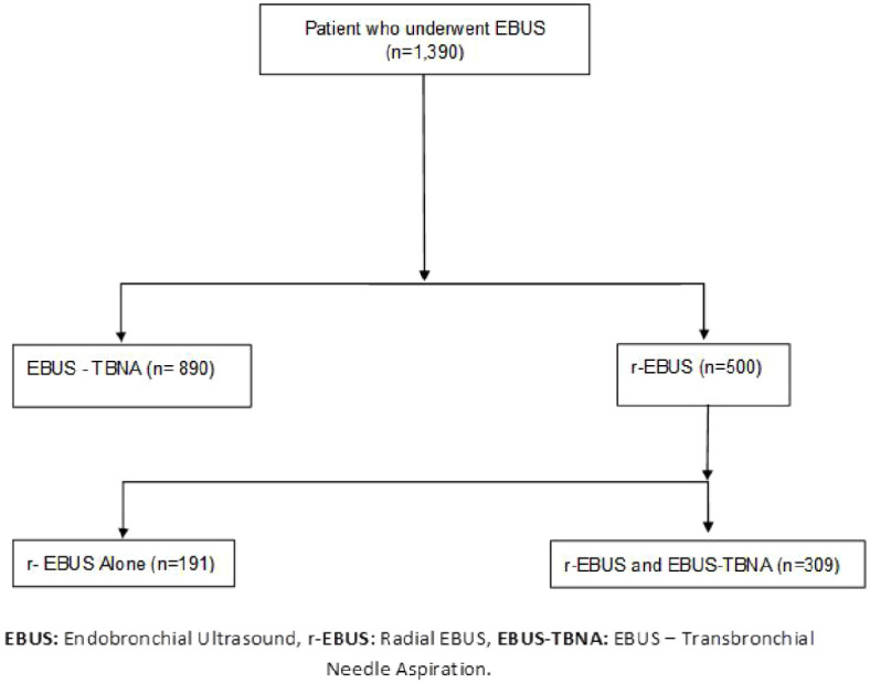 Optimizing diagnostic yield in pulmonary lesions: impact of combined sampling tools and EBUS-TBNA during radial EBUS.