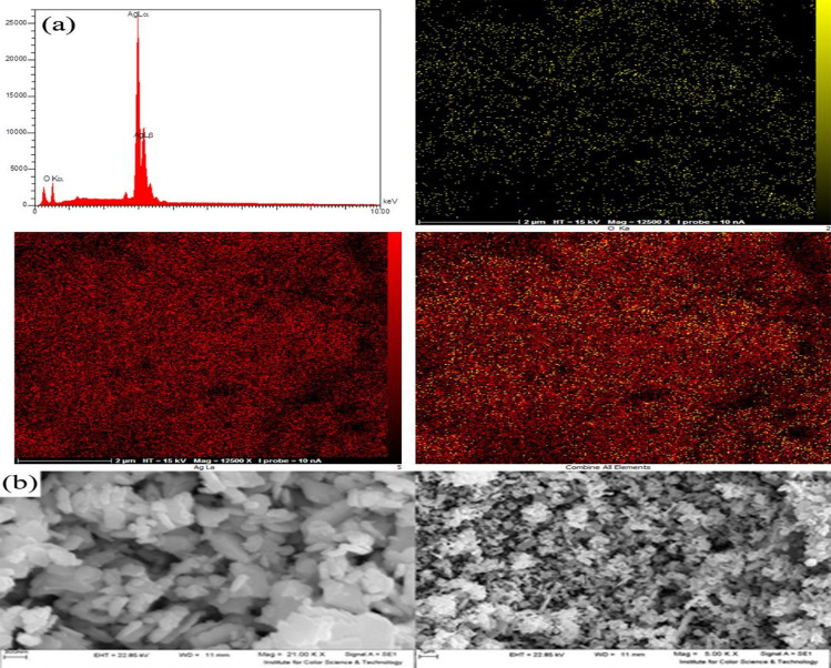 <i>In Vitro</i> Assessment of Anthelmintic Activities of AgO Nanoparticle against Liver Fluke <i>Dicrocoelium dendriticum</i>.