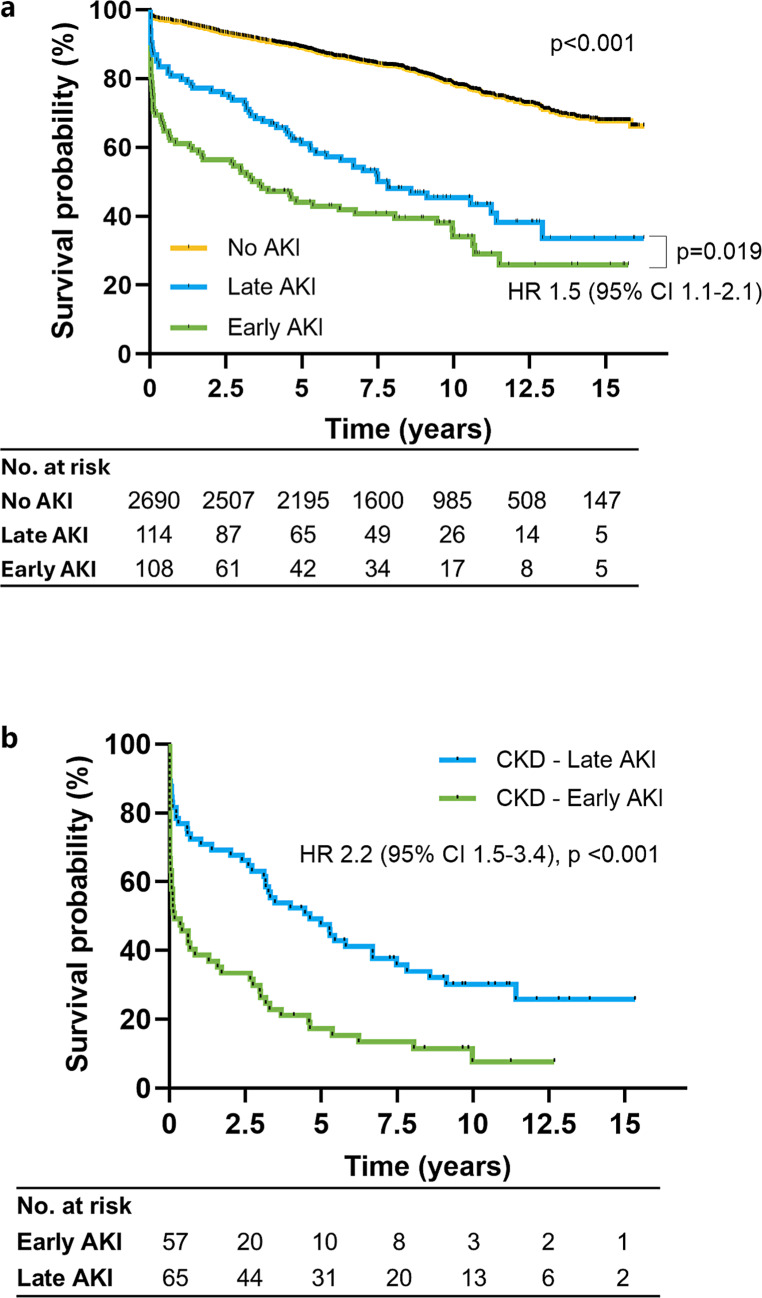Early versus Late Acute Kidney Injury in Patients Undergoing Primary Percutaneous Coronary Intervention.