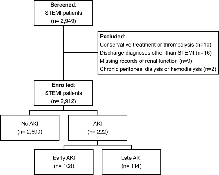 Early versus Late Acute Kidney Injury in Patients Undergoing Primary Percutaneous Coronary Intervention.